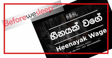 heenayak wage mp3