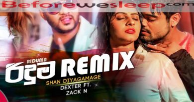 riduma remix mp3