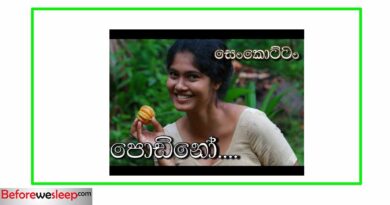podino mp3 download