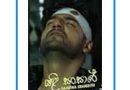 yali sansare mp3 download